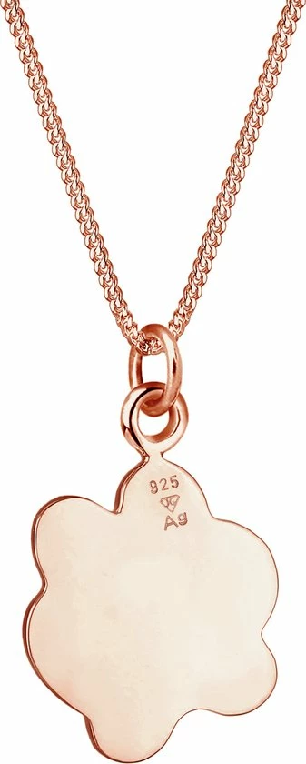 Groothandel 𧨠Elli Dames Halsketting Dames Poot Hanger Symbool Hond In 925 Sterling Zilver π― 7 Groothandel 𧨠Elli Dames Halsketting Dames Poot Hanger Symbool Hond In 925 Sterling Zilver π― - Afbeelding 5
