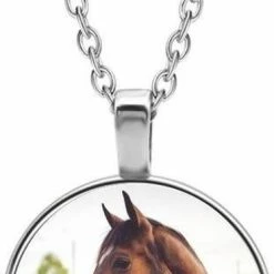 Top 10 🔥 MC Living Ketting Glas - Paard ✔️