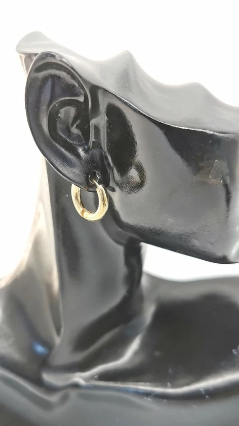 Begroting π Lili 41 Stalen - Oorringen - Goudkleur -Ø 8 Mm X D 2.5 Mm. Geschikt Voor Zowel Mannen Als Vrouwen π 7 Begroting π Lili 41 Stalen - Oorringen - Goudkleur -Ø 8 Mm X D 2.5 Mm. Geschikt Voor Zowel Mannen Als Vrouwen π - Afbeelding 5