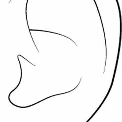 Beste Pirce 😉 Traveller Oorstekers - Kristallen - Goudkleurig - 157362 🎉 -Sieraden-horloges Winkel 520x840