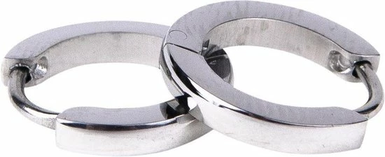 Begroting โ๏ธ Kalli Edelstalen Oorbel 1829 Zilver 12mm ๐ 3 Begroting โ๏ธ Kalli Edelstalen Oorbel 1829 Zilver 12mm ๐