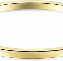 Coupon 😀 Twice As Nice Armband In Goudkleurig Edelstaal, Ovale Bangle 4 Mm 6 Cm ⌛