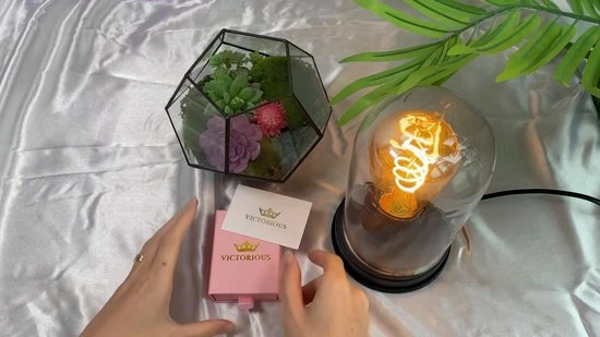 Aanbiedingen β Victorious Dames Oorbellen – Zirkonia Kristal Druppel Oorhangers – Roségoud/Champagne – 6cm π 4 Aanbiedingen β Victorious Dames Oorbellen – Zirkonia Kristal Druppel Oorhangers – Roségoud/Champagne – 6cm π - Afbeelding 2