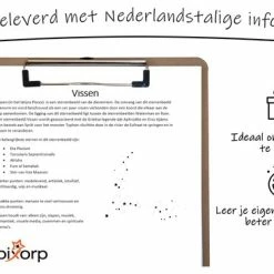 Begroting 🤩 Bixorp Stars Vissen / Pisces Ketting Goudkleurig - Sterrenbeeld Hanger - Cadeau Voor Haar - Cadeau Voor Sinterklaas - Cadeau Voor Kerst ✨ 9 Begroting 🤩 Bixorp Stars Vissen / Pisces Ketting Goudkleurig - Sterrenbeeld Hanger - Cadeau Voor Haar - Cadeau Voor Sinterklaas - Cadeau Voor Kerst ✨ -Sieraden-horloges Winkel 550x366 29