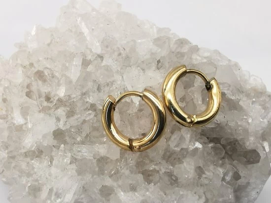 Begroting π Lili 41 Stalen - Oorringen - Goudkleur -Ø 8 Mm X D 2.5 Mm. Geschikt Voor Zowel Mannen Als Vrouwen π 5 Begroting π Lili 41 Stalen - Oorringen - Goudkleur -Ø 8 Mm X D 2.5 Mm. Geschikt Voor Zowel Mannen Als Vrouwen π - Afbeelding 3