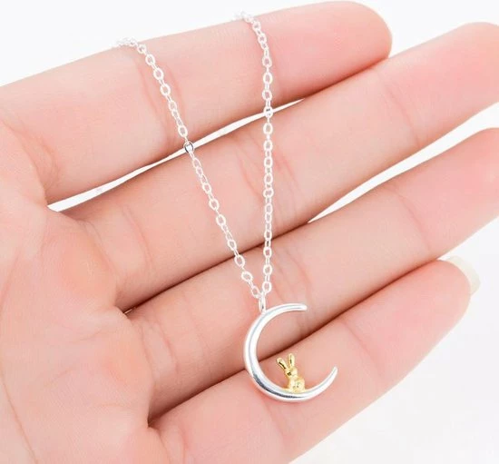 Top 10 ❤️ Amodi 24/7 Jewelry Collection Konijn Ketting - Maan - Maansikkel - Zilverkleurig 🤩 6 Top 10 ❤️ Amodi 24/7 Jewelry Collection Konijn Ketting - Maan - Maansikkel - Zilverkleurig 🤩 - Afbeelding 4