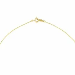 Nieuw 🤩 Isabel Bernard Le Marais Dames Ketting Goud - Goudkleurig 🥰 26 Nieuw 🤩 Isabel Bernard Le Marais Dames Ketting Goud - Goudkleurig 🥰 -Sieraden-horloges Winkel 550x550 1095