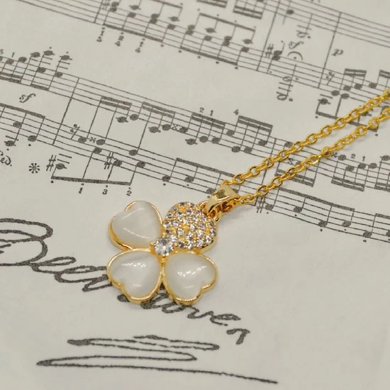 Beste Pirce ๐ Gading® Dames Ketting Met Wit Klavertje Vier- Stalen Collier Met Zirkonia- 42cm+6cm โ๏ธ 4 Beste Pirce ๐ Gading® Dames Ketting Met Wit Klavertje Vier- Stalen Collier Met Zirkonia- 42cm+6cm โ๏ธ - Afbeelding 2