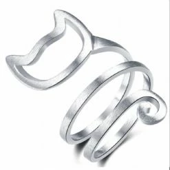 Nieuw 🔥 Ring-poes- Zilver-Verstelbaar-Geborsteld-Charme Bijoux 😍