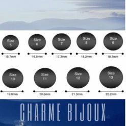 Nieuw 🔥 Ring-poes- Zilver-Verstelbaar-Geborsteld-Charme Bijoux 😍 -Sieraden-horloges Winkel 550x550 142