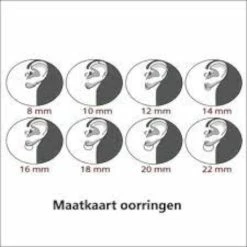 Begroting π Lili 41 Stalen - Oorringen - Goudkleur -Ø 8 Mm X D 2.5 Mm. Geschikt Voor Zowel Mannen Als Vrouwen π 15 Begroting π Lili 41 Stalen - Oorringen - Goudkleur -Ø 8 Mm X D 2.5 Mm. Geschikt Voor Zowel Mannen Als Vrouwen π -Sieraden-horloges Winkel 550x550 322