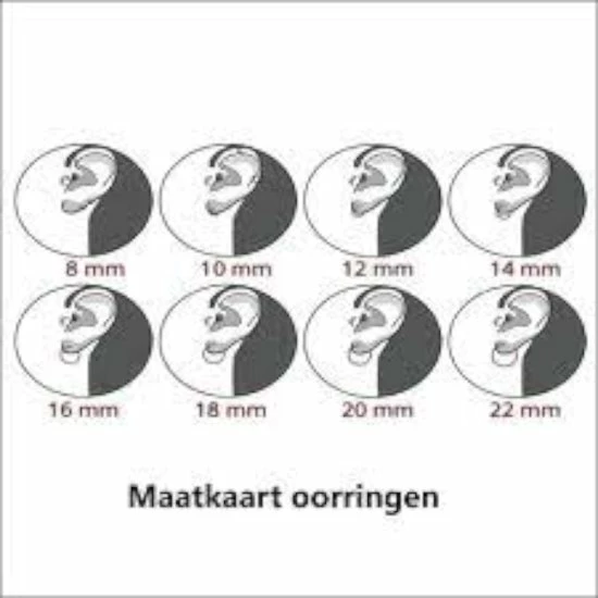 Begroting π Lili 41 Stalen - Oorringen - Goudkleur -Ø 8 Mm X D 2.5 Mm. Geschikt Voor Zowel Mannen Als Vrouwen π 9 Begroting π Lili 41 Stalen - Oorringen - Goudkleur -Ø 8 Mm X D 2.5 Mm. Geschikt Voor Zowel Mannen Als Vrouwen π - Afbeelding 7