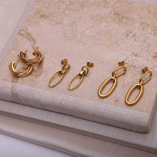 Begroting 💯 Lucardi Stalen 18 Karaat Goldplated Oorbellen Modeste ✔️ 5 Begroting 💯 Lucardi Stalen 18 Karaat Goldplated Oorbellen Modeste ✔️ - Afbeelding 3