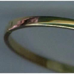 Coupon 😀 Twice As Nice Armband In Goudkleurig Edelstaal, Ovale Bangle 4 Mm 6 Cm ⌛ -Sieraden-horloges Winkel 550x550 986