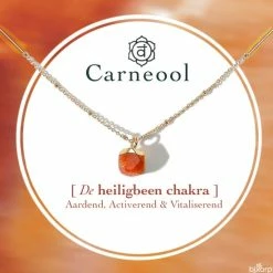 Uitgang 💯 Bixorp Gems Heiligbeen Chakra Ketting Carneool + 18 Karaat Verguld Goud & Roestvrij Staal - 36cm + 8cm Verstelbaar - Sacral Chakra - Spiritueel Cadeau Voor Haar - Cadeau Voor Kerst & Sinterklaas 🎉