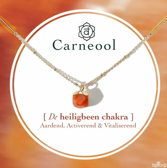 Uitgang π― Bixorp Gems Heiligbeen Chakra Ketting Carneool + 18 Karaat Verguld Goud & Roestvrij Staal - 36cm + 8cm Verstelbaar - Sacral Chakra - Spiritueel Cadeau Voor Haar - Cadeau Voor Kerst & Sinterklaas π 3 Uitgang π― Bixorp Gems Heiligbeen Chakra Ketting Carneool + 18 Karaat Verguld Goud & Roestvrij Staal - 36cm + 8cm Verstelbaar - Sacral Chakra - Spiritueel Cadeau Voor Haar - Cadeau Voor Kerst & Sinterklaas π