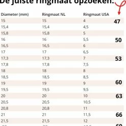 Beste deal 🔥 Ocean Of Motion - Anxiety Ring - Stress Ring - Fidget Ring - Spinner Ring - Fidget Toys - Ring - Ringen - Fles Opener - Bier Opener - Titanium - Ketting - Zilver - Ringmaat 60/19.00 Mm - Dames - Heren 😉 -Sieraden-horloges Winkel 550x575 1