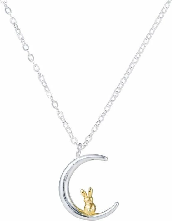 Top 10 ❤️ Amodi 24/7 Jewelry Collection Konijn Ketting - Maan - Maansikkel - Zilverkleurig 🤩 3 Top 10 ❤️ Amodi 24/7 Jewelry Collection Konijn Ketting - Maan - Maansikkel - Zilverkleurig 🤩