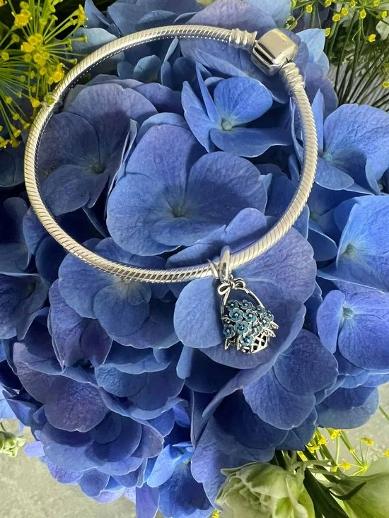 Goedkoopste π Tracelet | Zilveren Bedels | Bedel Bloemen Mand | Charm Met Lila Bloemetjes | 925 Sterling Zilver | Pandora Compatible | Met 925 Zilver Certificaat | In Leuke Cadeauverpakking β 5 Goedkoopste π Tracelet | Zilveren Bedels | Bedel Bloemen Mand | Charm Met Lila Bloemetjes | 925 Sterling Zilver | Pandora Compatible | Met 925 Zilver Certificaat | In Leuke Cadeauverpakking β - Afbeelding 3